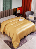 SilkSilky IT 25Momme Seta pura Duvet Cover Champagne 004