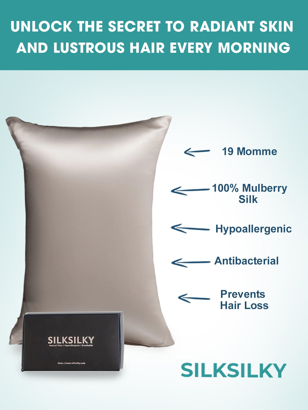 [Grigio] SilkSilky-IT 19Momme Seta pura Pillowcase 003