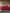 [Vino] SilkSilky-IT 19Momme Seta pura Bedding Set 002