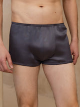 [Grigio Scuro] SilkSilky-IT Mens Underwear 003