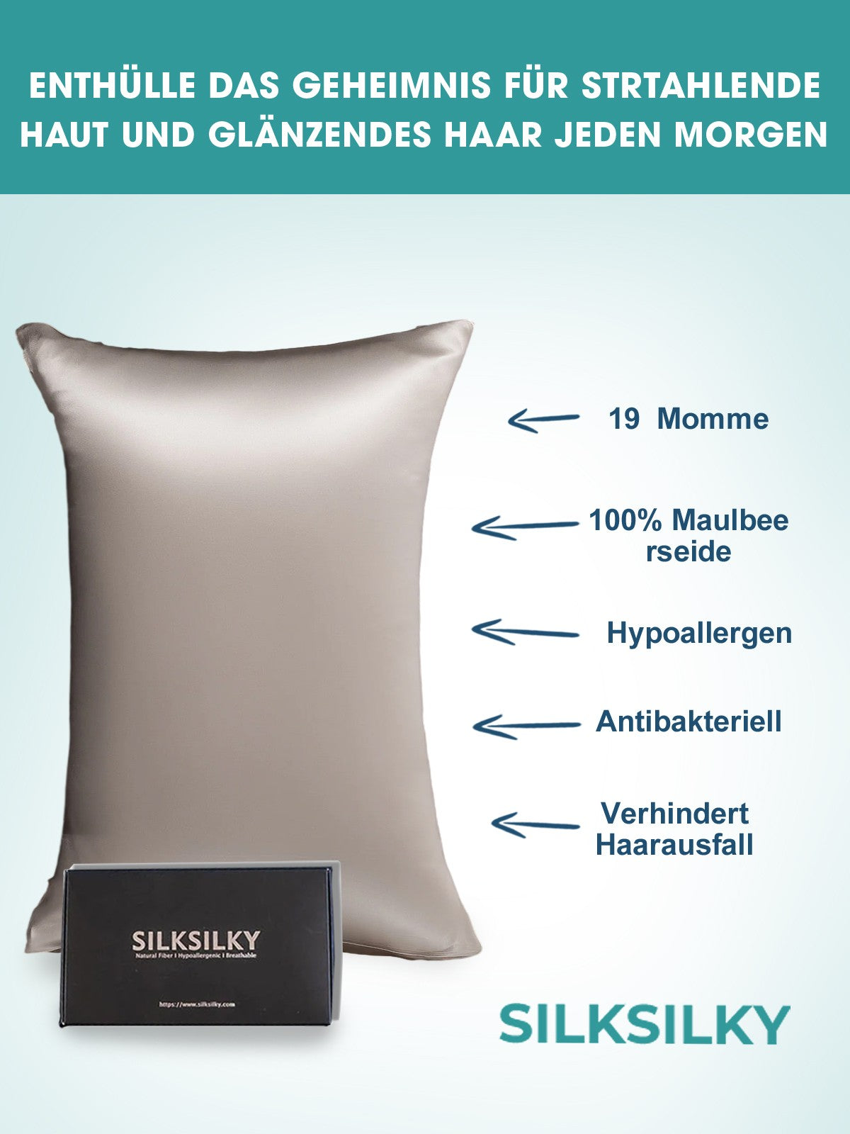 [Grigio] SilkSilky-IT 19Momme Seta pura Pillowcase 002
