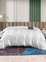 [Argento] SilkSilky-IT 25Momme Duvet Covers 002