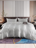 SilkSilky IT 22Momme Seta pura Bedding Set Argento 001