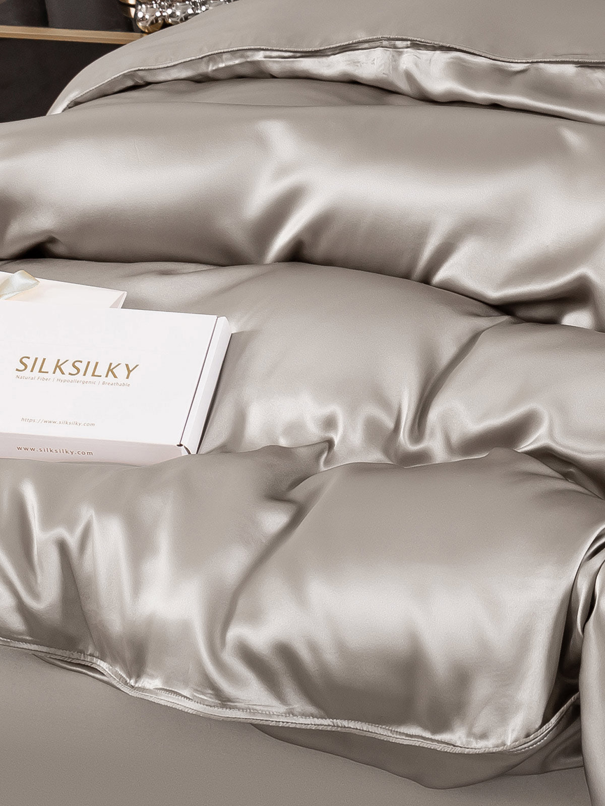 [Grigio] SilkSilky-IT 25Momme Seta pura Duvet Cover 003