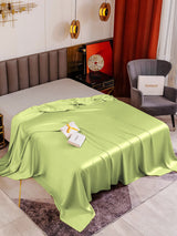 [Menta Verde] SilkSilky-IT 19Momme Lenzuoli 001