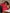 [Vino] SilkSilky-IT 30Momme Seta pura Pillowcase 001