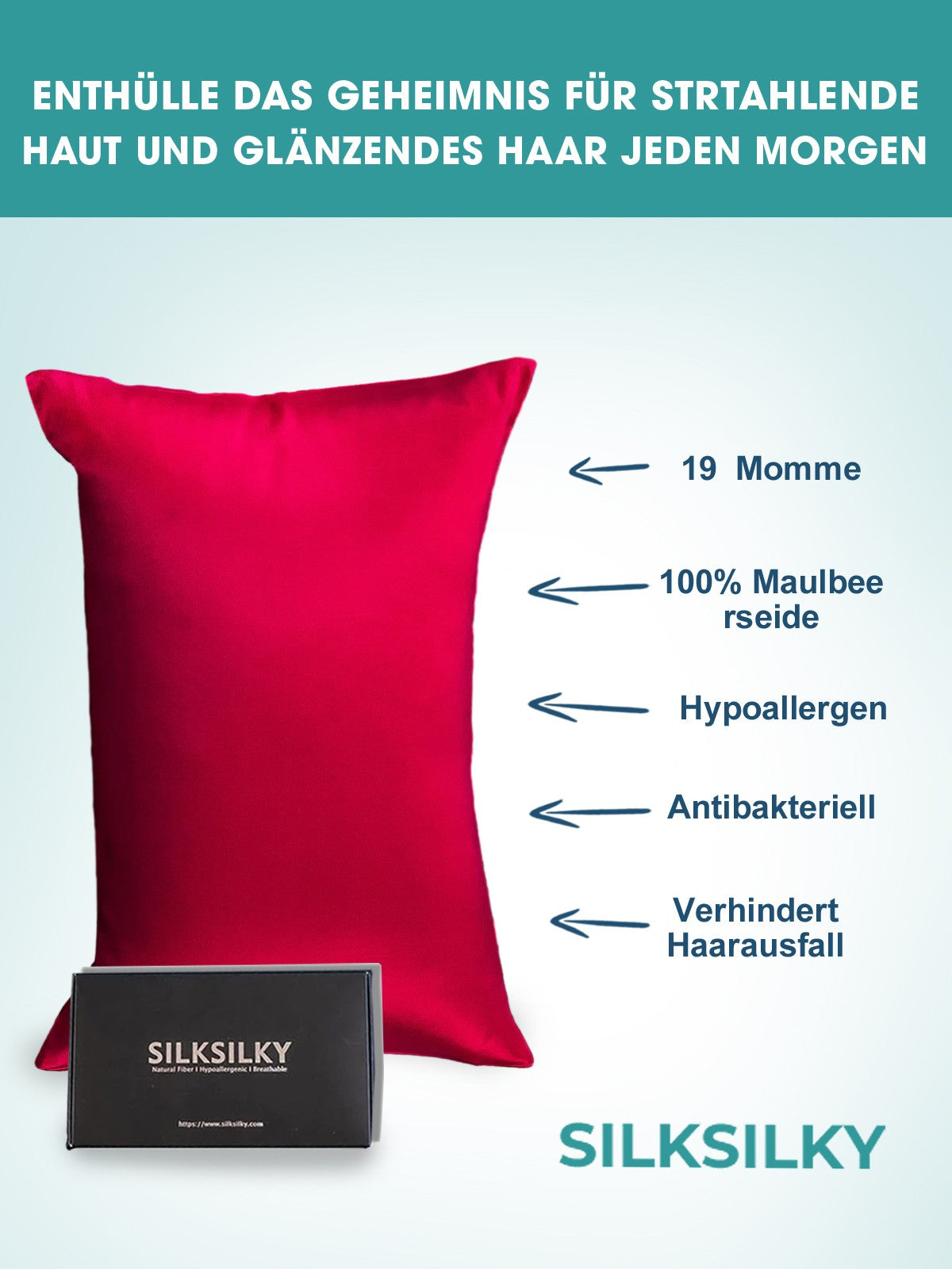 [Vino] SilkSilky-IT 19Momme Seta pura Pillowcase 002