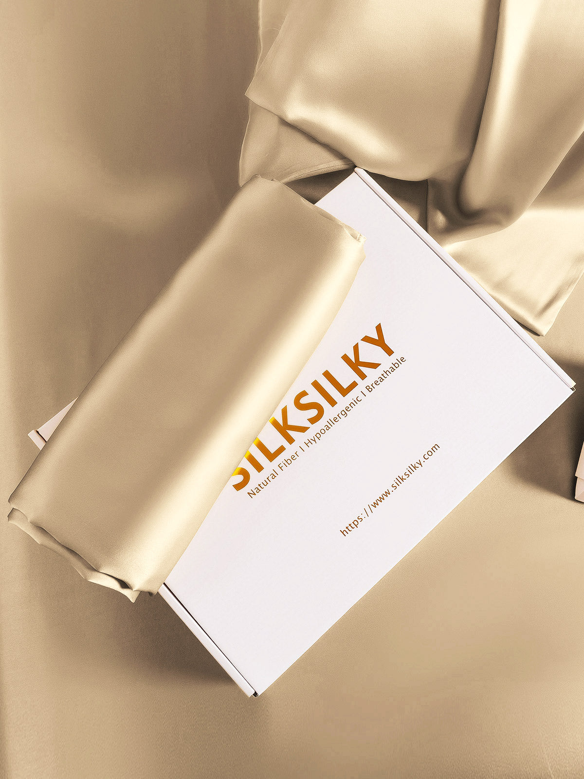[Beige] SilkSilky-IT 22Momme Seta pura Pillowcase 005