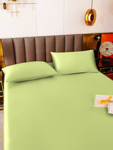 [Menta Verde] SilkSilky-IT 19Momme Set di biancheria da letto 005