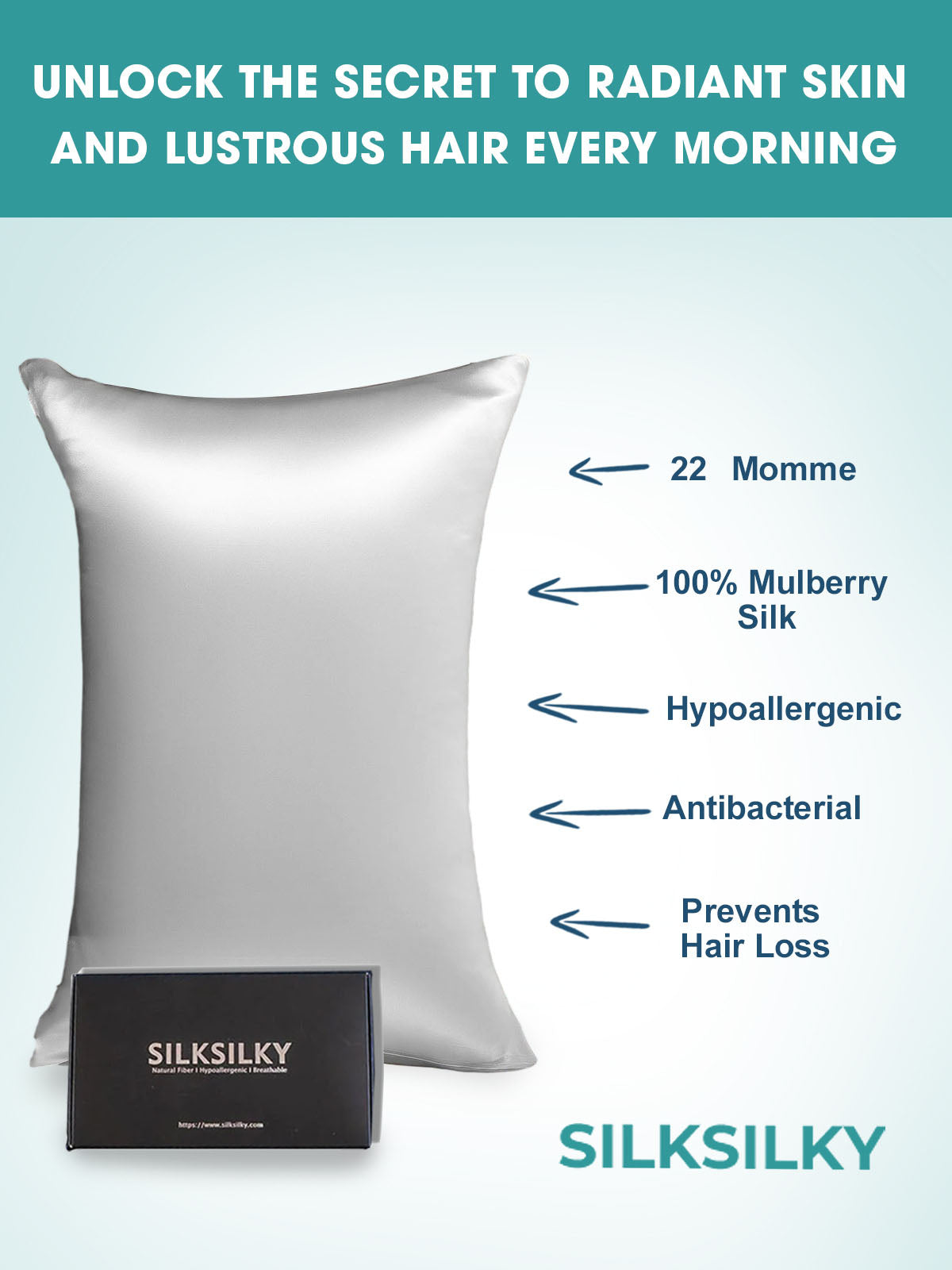 [Argento] SilkSilky-IT 22Momme Seta pura Pillowcase 003