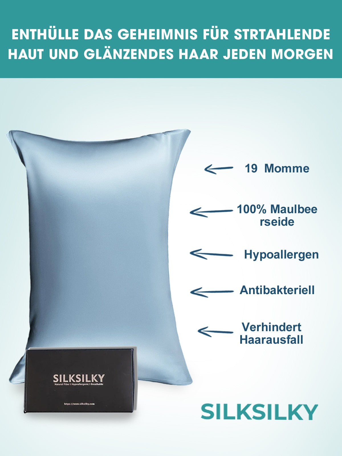 [Azzurro] SilkSilky-IT 19Momme Seta pura Pillowcase 002