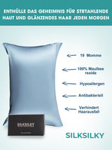 [Azzurro] SilkSilky-IT 19Momme Seta pura Pillowcase 002