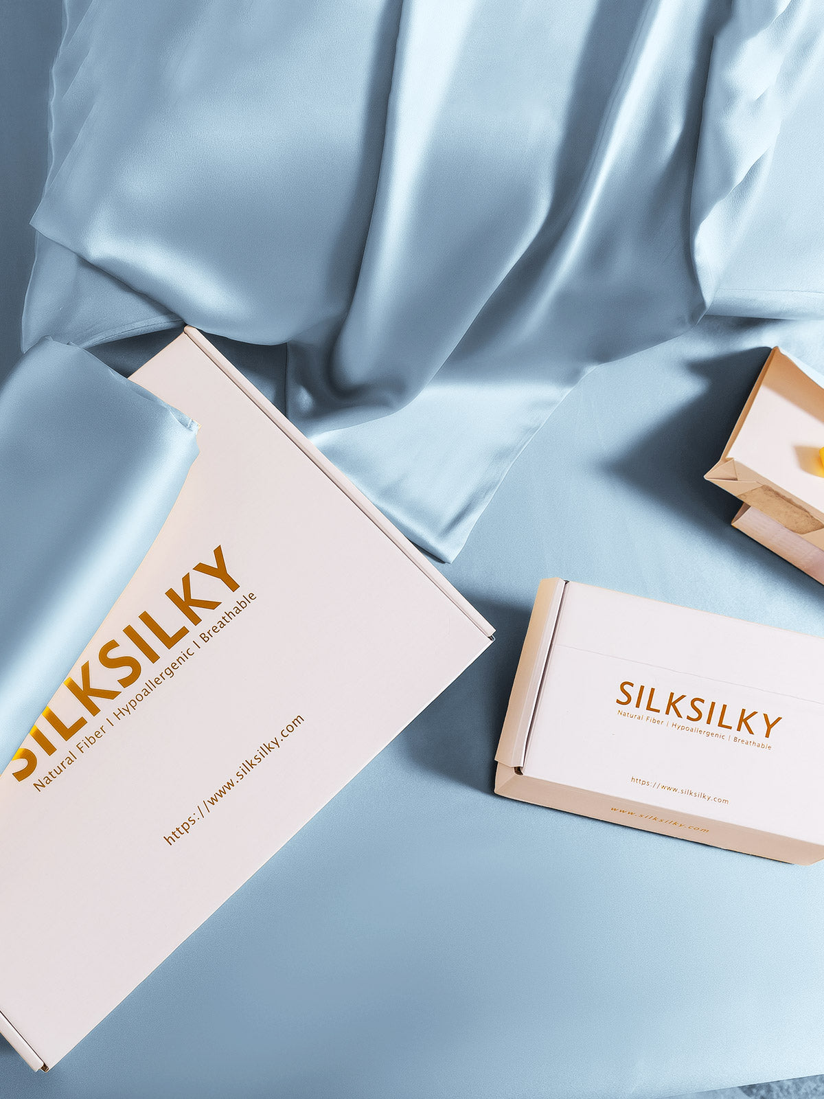 [Azzurro] SilkSilky-IT 19Momme Seta pura Pillowcase 007