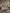 [Grigio] SilkSilky-IT 19Momme Seta pura Bedding Set 001