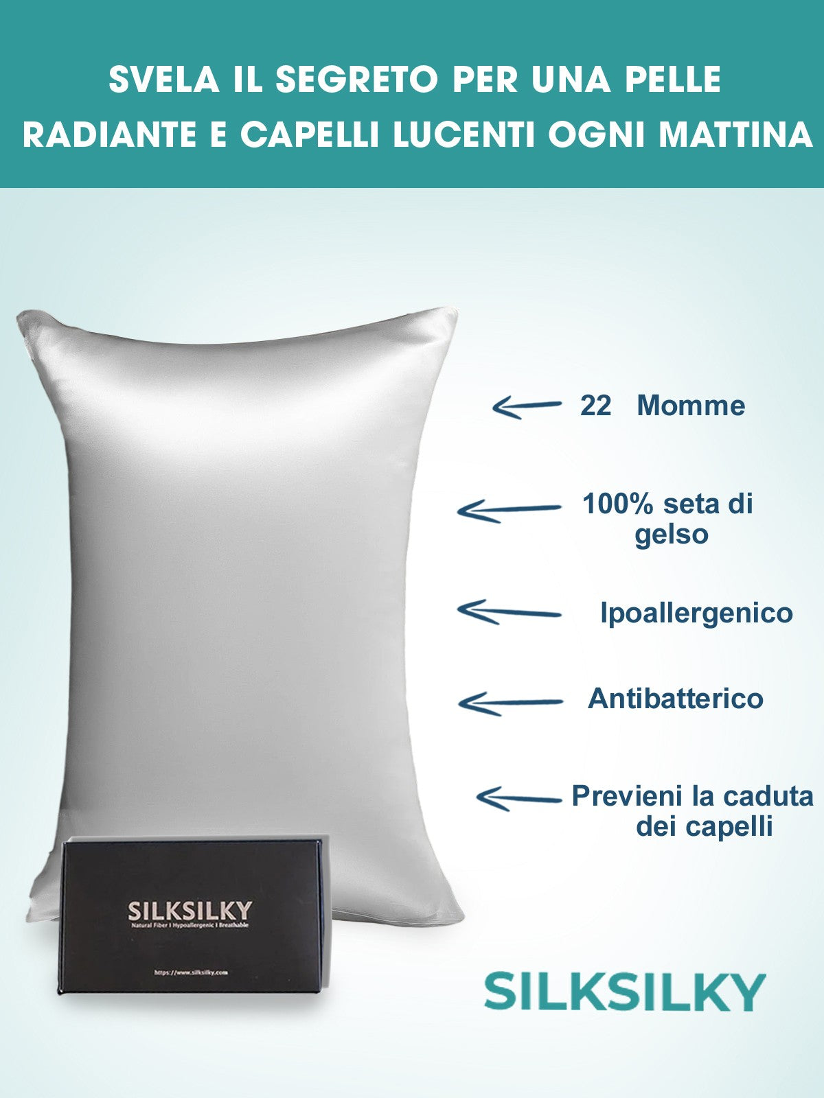 SilkSilky IT 22Momme Seta pura Pillowcase Argento 003