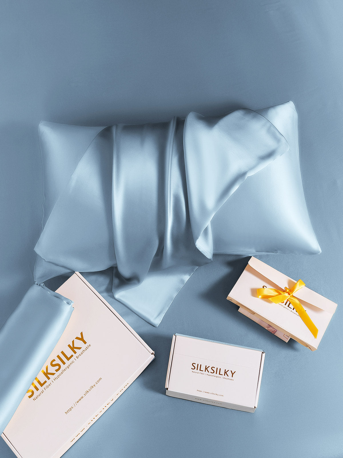[Azzurro] SilkSilky-IT 19Momme Seta pura Pillowcase 006