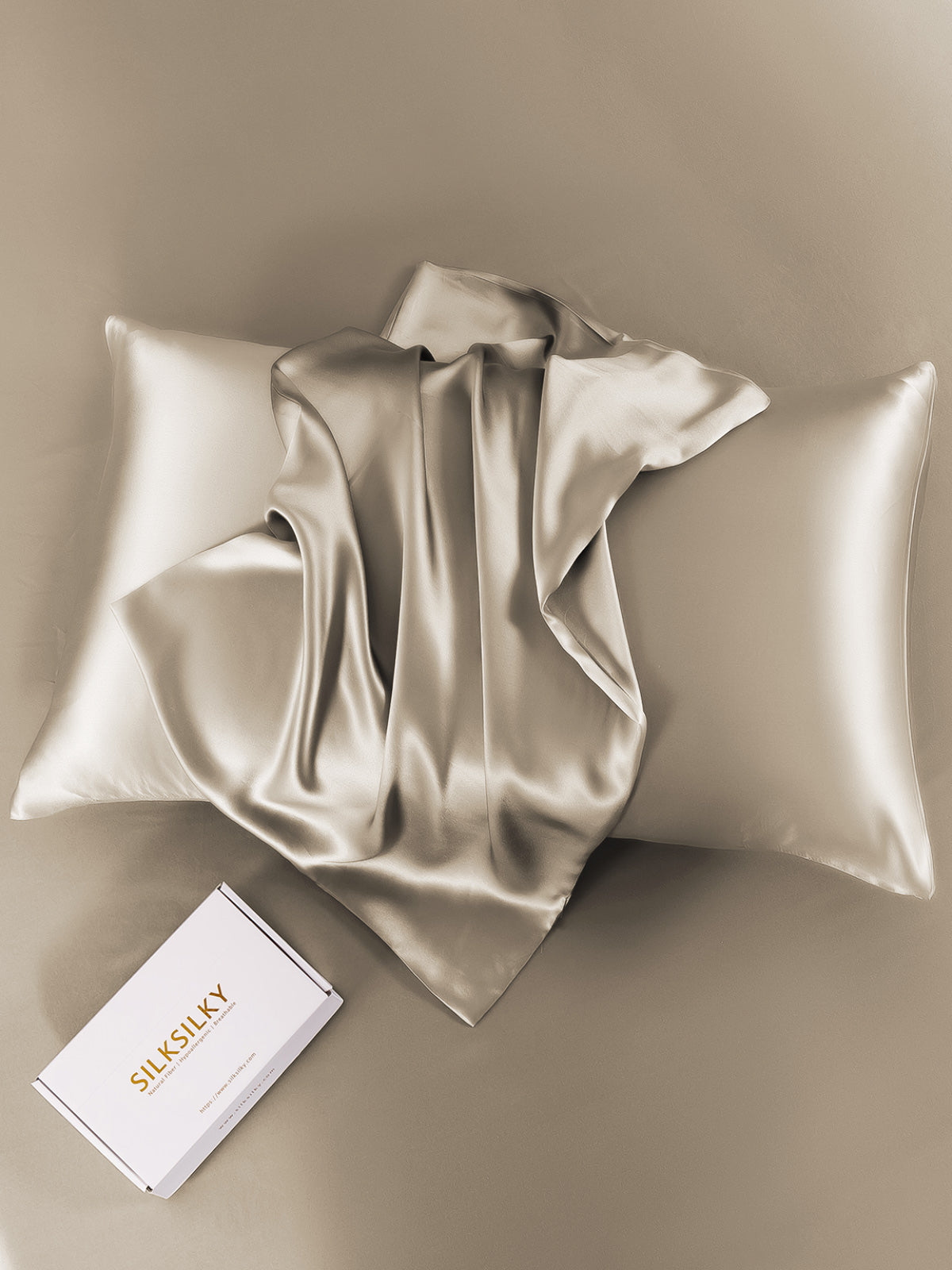 [Cachi] SilkSilky-IT 22Momme Seta pura Pillowcase 004