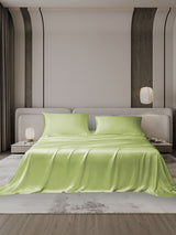 [Menta Verde] SilkSilky-IT 19Momme Set di biancheria da letto 001