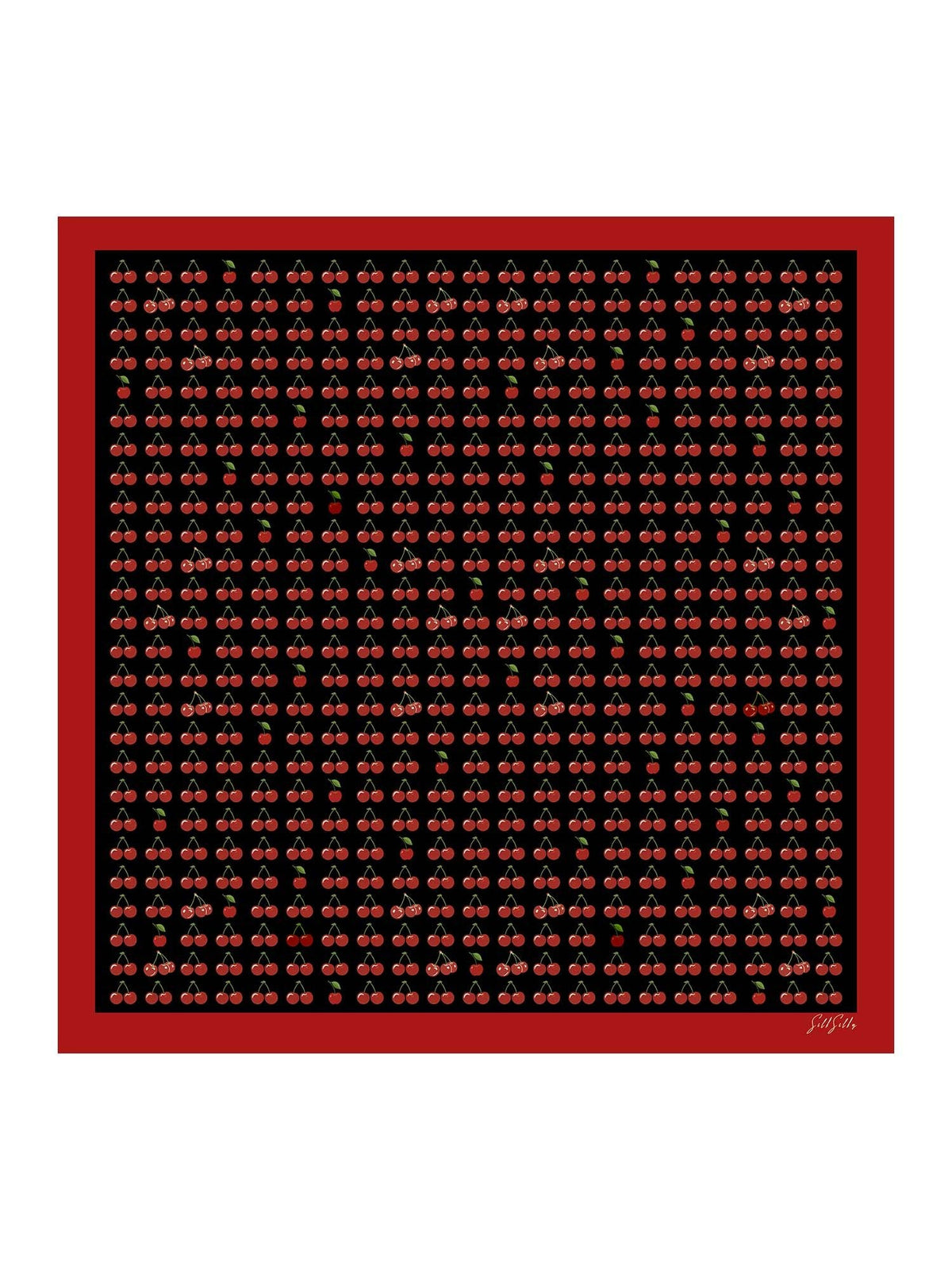 [Ciliegia Nera] SilkSilky-IT Sciarpa 001