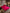 [Vino] SilkSilky-IT 19Momme Seta pura Bedding Set 001