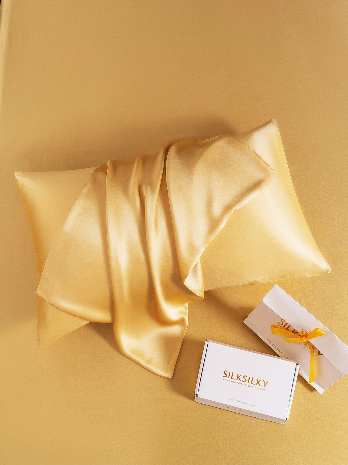 SilkSilky-IT 19Momme Seta pura Pillowcase Champagne 006