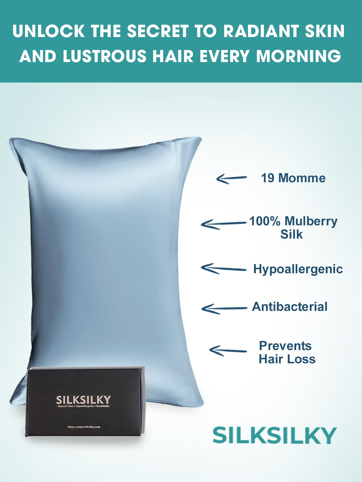 [Azzurro] SilkSilky-IT 19Momme Seta pura Pillowcase 002