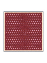 [Vino] SilkSilky-IT Scarf 001