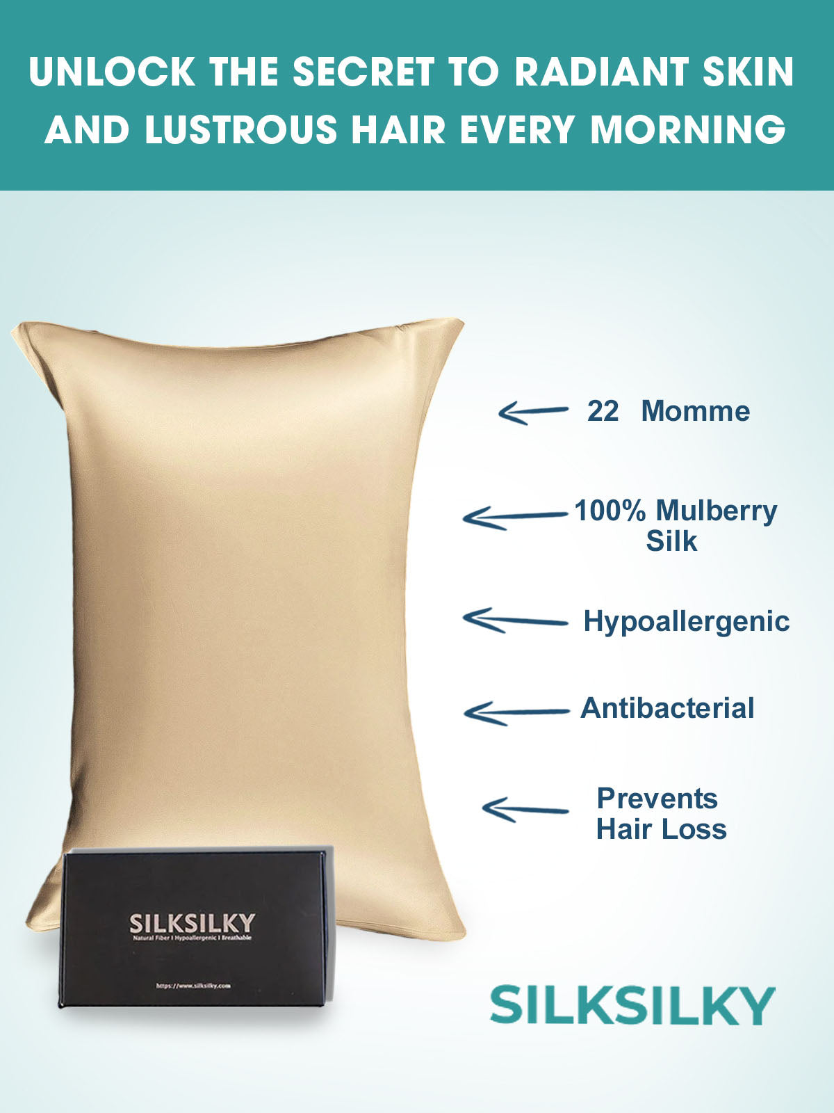 [Beige] SilkSilky-IT 22Momme Seta pura Pillowcase 003