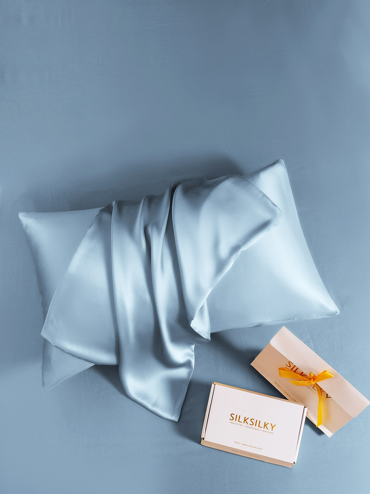 [Azzurro] SilkSilky-IT 19Momme Seta pura Pillowcase 005