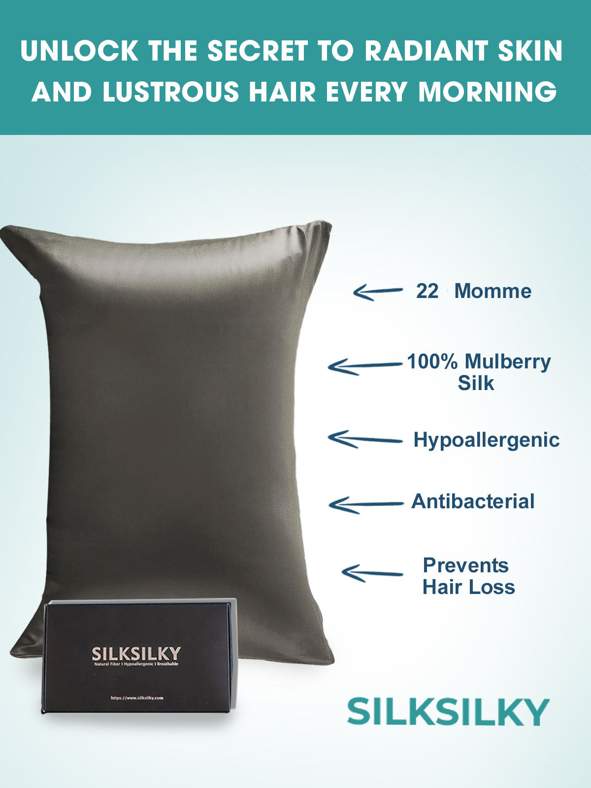 [Grigio Scuro] SilkSilky-IT 22Momme Seta pura Pillowcase 003