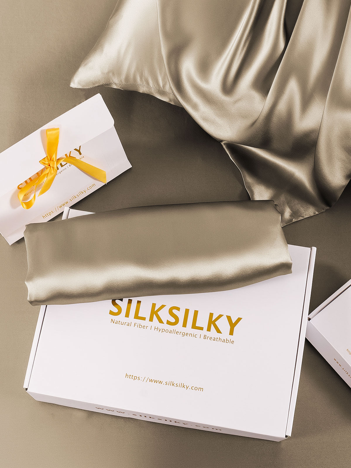 [Cachi] SilkSilky-IT 22Momme Seta pura Pillowcase 005