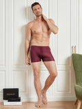 SilkSilky IT Maglia di seta Mens Underwear Vino 003