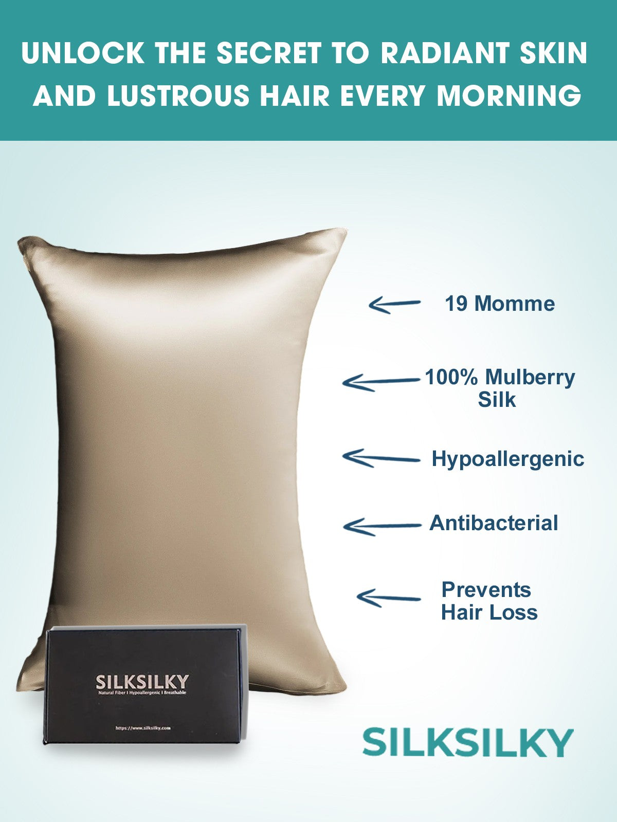 [Cachi] SilkSilky-IT 19Momme Seta pura Pillowcase 003
